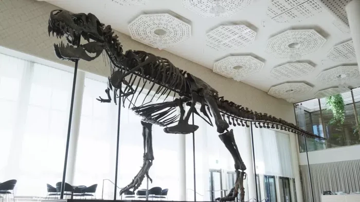 Tyrannosaurus rex (T-Rex), 293 Trinity