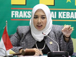 Waka Komisi IX DPR Usul AI Bantu Analisis Penyakit Pasien Wilayah Minim Dokter