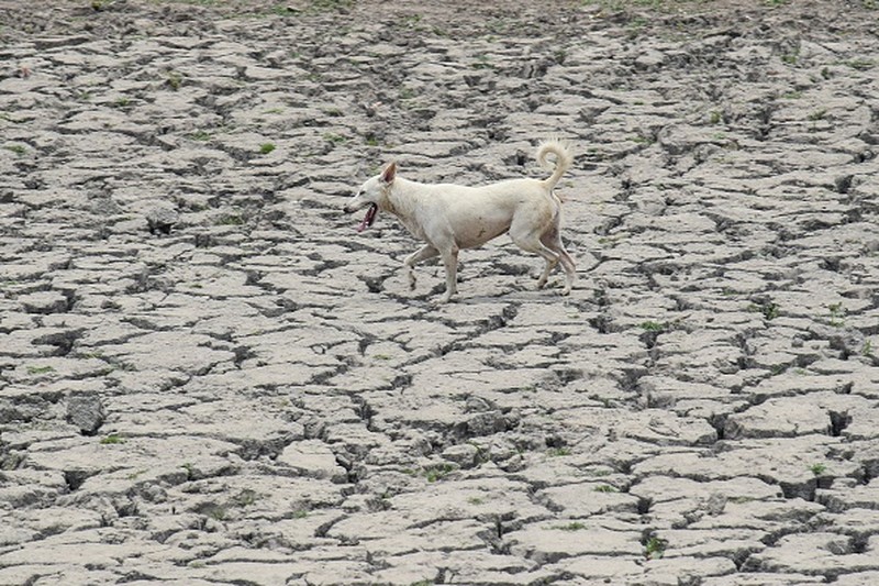NEW DELHI, INDIA - 2022/06/12: People walk past Akshardham temple on a hot day in New Delhi. Temperatures in the Indian capital soared to above 44 degrees celcius. A heatwave is declared when the maximum temperature is over 40 degrees celsius. (Photo by Pradeep Gaur/SOPA Images/LightRocket via Getty Images)
