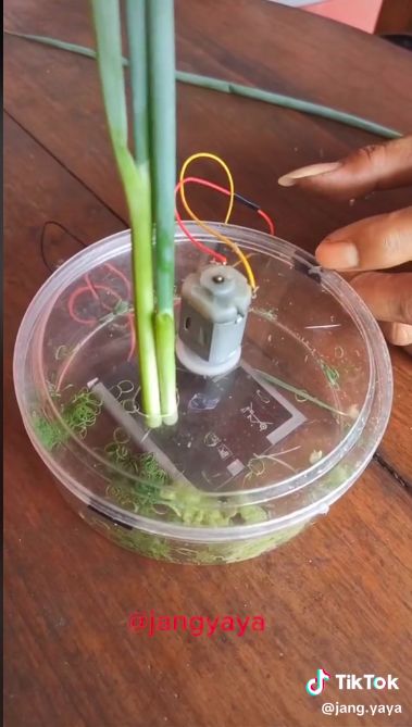 Alat dapur canggih DIY