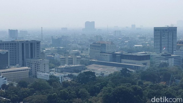 Udara yang tercemar tentu akan berdampak buruk bagi kesehatan makhluk hidup. Lantas, bagaimana cara mendeteksi udara tercemar atau tidak? Simak penjelasannya!