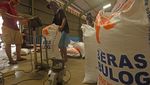 Bulog Impor Beras dari Vietnam untuk Bansos