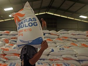 Meninjau Ulang Impor Beras 2024