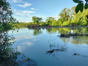 Bocah 10 Tahun di Donggala Tewas Diterkam Buaya Usai Jatuh ke Sungai