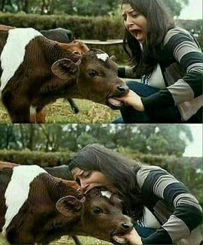 Foto Kocak Bikin Ngakak