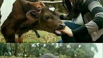 Pembalasan... Foto: instagram.com/nonaestheticsthings/