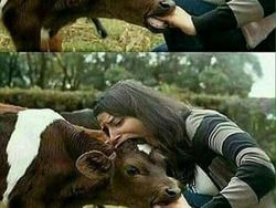 Foto Kocak Bikin Ngakak yang Dibagikan Warganet di Medsos