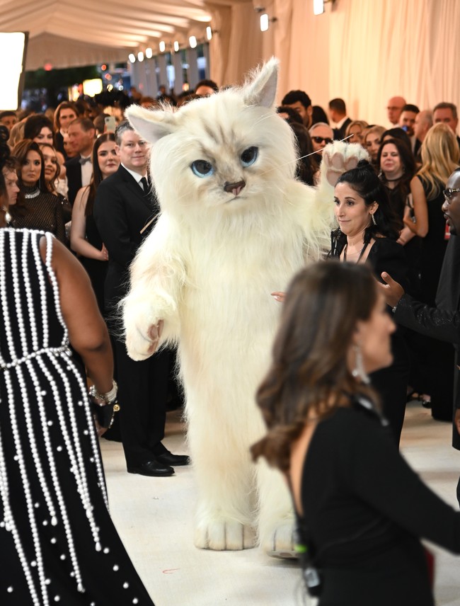 Jared Leto tiba tanpa dikenali dengan kostum penuh bulu itu. Kehadirannya langsung menyita atensi para tamu undangan yang sedang mengantre masuk ke lokasi acara. (Foto: Noam Galai/GA/The Hollywood Reporter via Getty Images)