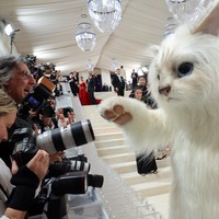 Kostum bintang ‘Morbius’ itu menyerupai Choupette, kucing kesayangan desainer Chanel itu. Begitu sayangnya, Karl meninggalkan warisan sebesar US$ 200 juta untuk kucing betina berjenis Birma itu. Choupette tentu diundang ke MET Gala 2023, tapi ia memilih absen. Namun, eksistensinya tetap terasa berkat penampilan Jared Leto. (Foto: Mike Coppola/Getty Images)