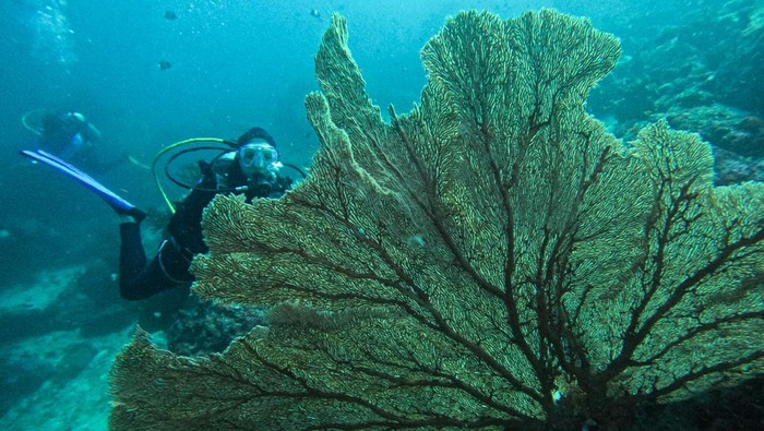Pesona Wisata Bawah Laut Kota Sabang Wisatawan berfoto di titik swafoto Menteri Pariwisata dan Ekonomi Kreatif (Menparekraf) Sandiaga Uno di lokasi wisata Iboih, Sabang, Aceh, Senin (1/5/2023). Dinas Pariwisata Aceh bersama Pemerintah Kota Sabang terus mempromosikan wisata bawah laut atau bahari di daerahnya yang menjadi sektor andalan untuk menggaet wisatawan domestik maupun mancanegara. ANTARA FOTO/Khalis Surry/Lmo/pras.