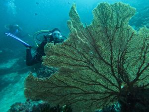 Pengumuman! Objek Wisata Laut di Sabang Tutup Pada 29-30 Juni