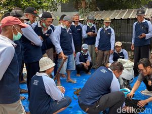 Keren! Petani Kota Blitar Bikin Pupuk Organik Regenerative Soil Cuma 1 Jam