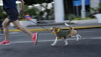 Lomba lari yang bertema A Race with a Cause ini diorganisir sebagai penggalangan dana.