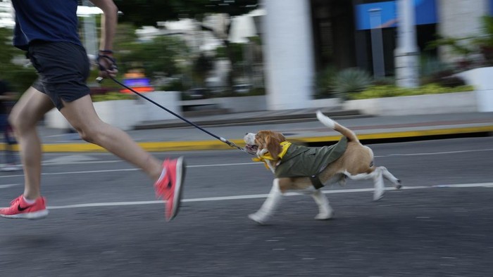 Dogs and owners run during of 4k pet run 