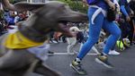 Serunya Lomba Lari Bersama Anjing Peliharaan di Venezuela