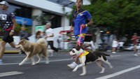Anjing dan pemiliknya mengikuti lomba lari di Caracas, Venezuela, Minggu (30/4/2023).