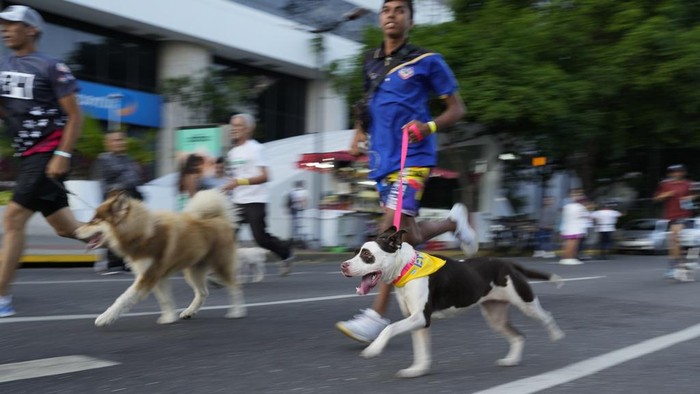 Dogs and owners run during of 4k pet run 