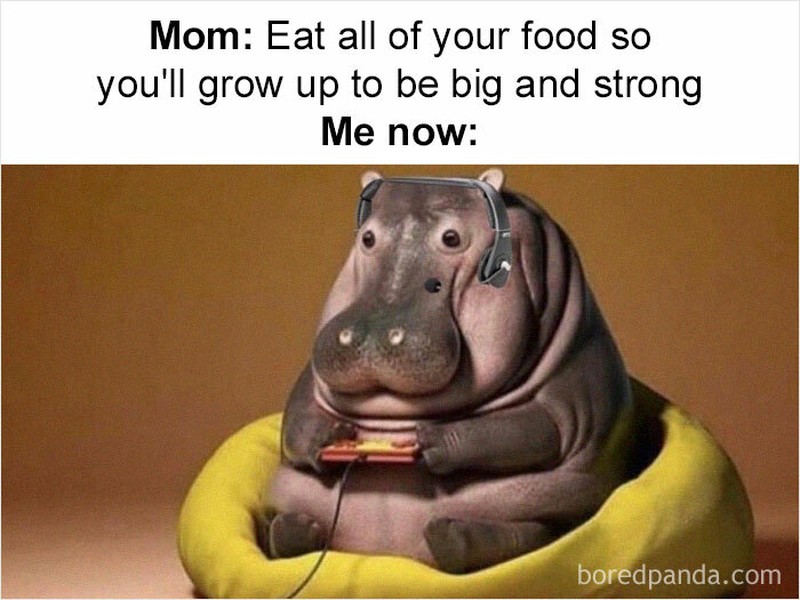 10 Meme Hanya Orang yang Sudah Dewasa yang Bakal Ngerti