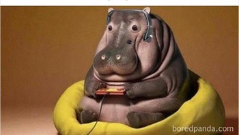 Kata mama harus makan sehingga tumbuh besar dan kuat. Foto: I Feel Personally Attacked By This Meme via Bored Panda