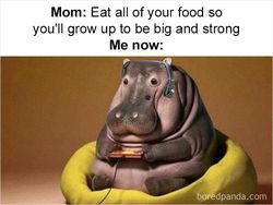 10 Meme Hanya Orang yang Sudah Dewasa yang Bakal Ngerti