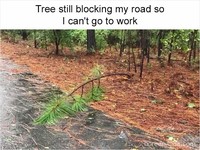 10 Meme Hanya Orang yang Sudah Dewasa yang Bakal Ngerti