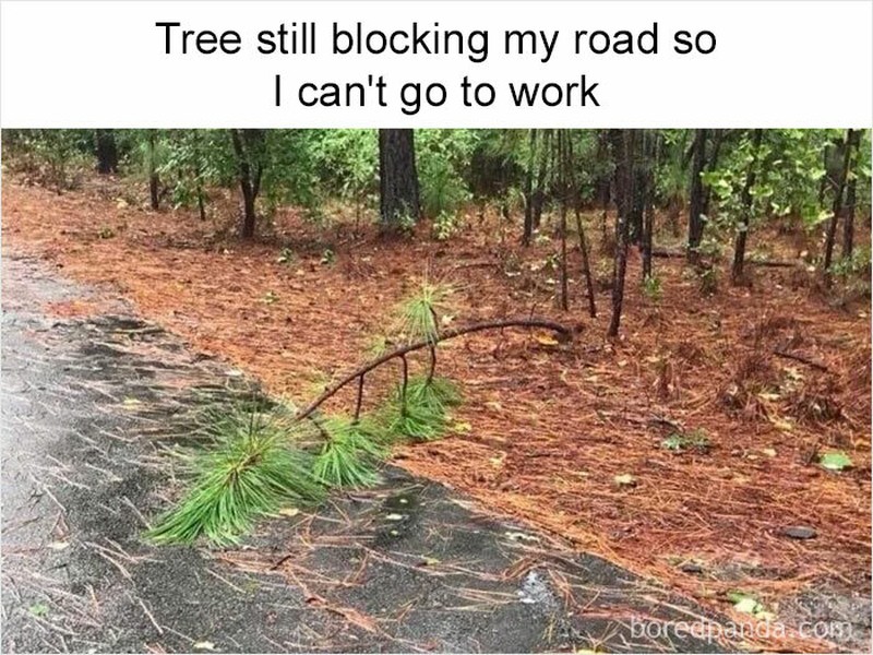 10 Meme Hanya Orang yang Sudah Dewasa yang Bakal Ngerti