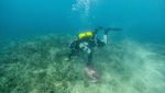 Aksi Penyelam Bersihkan Sampah di Laut Sekitar Pulau Mljet Kroasia