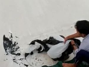 Balon Udara Nyangkut Rusak Membran Masjid Ar Rahman Blitar