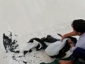 Balon Udara Nyangkut Rusak Membran Masjid Ar Rahman Blitar