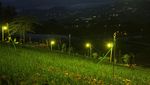 Elektrifikasi Pertanian, Hama Hilang Kebun Terang