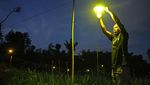 Elektrifikasi Pertanian, Hama Hilang Kebun Terang