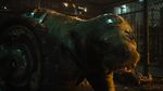 Kenalan dengan Teman Kecil Rocket Raccoon di Guardian of the Galaxy Vol.3