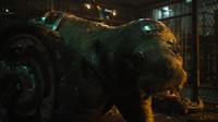 Ada Teefs yang disuarakan oleh Asim Chaudry merupakan seekor singa laut dan menjadi teman masa kecil Raccoon. Courtesy of Marvel Studios/Marvel Studios
