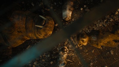 Kenalan dengan Teman Kecil Rocket Raccoon di Guardian of the Galaxy Vol.3