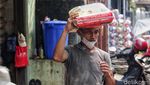 Harga Beras Masih Tinggi Gaes