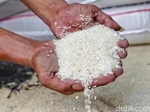 Harga Beras Berpotensi Masih Naik hingga Tahun Depan, Kok Bisa?