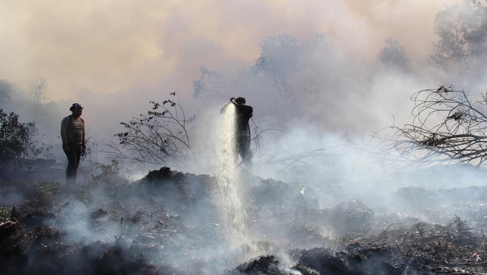 Petugas kepolisian berada di sekitar lahan yang terbakar di Desa Pelintung Kecamatan Medang Kampai Dumai, Riau, Selasa (2/5/2023). Ratusan hektar lahan terbakar di daerah tersebut sejak dua pekan terakhir dan api terus menjalar ke daerah lain akibat cuaca panas dan angin kencang. ANTARA FOTO/Aswaddy Hamid/nz