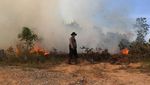 Potret Perjuangan Memadamkan Kebakaran Lahan di Dumai