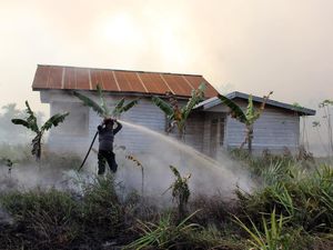 Potret Perjuangan Memadamkan Kebakaran Lahan di Dumai
