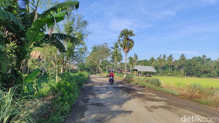 Kondisi jalan di Kabupaten Bone, Sulsel.