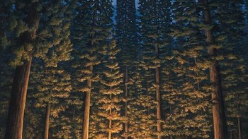 Pohon gedung. Foto: Rob Gonsalves