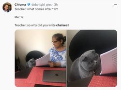 Meme Ejekan Chelsea yang Doyan Kalah Perlu Dibawa ke Emergency