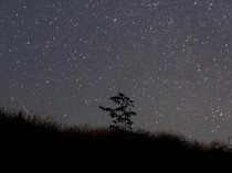 Apa Itu Hujan Meteor Draconid? Ini Penjelasan, Waktu, hingga Lokasinya
