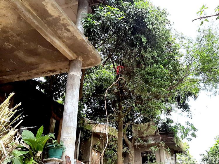 Rumah Dokter Wayan yang Viral di Karawang