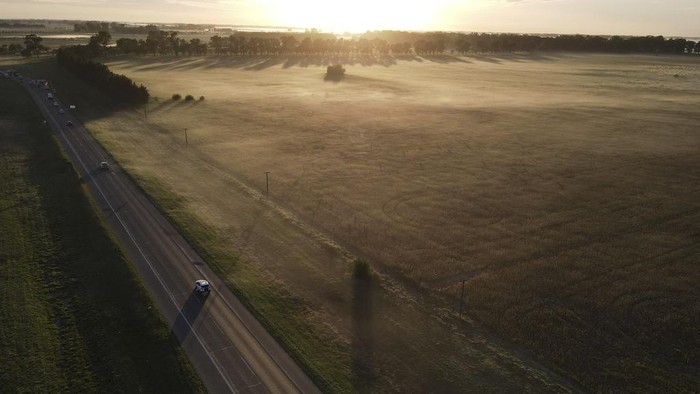 Sekilas Bumi yang Berubah A car drives down a road near farmland in Lobos, Argentina, Friday, April 14, 2023. Huge amount of the harvest of soybean and corn has been lost in Argentina due to drought. (AP Photo/Natacha Pisarenko)