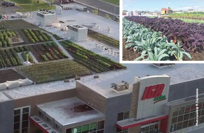 Supermarket unik di beberapa negara
