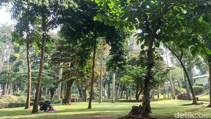 Taman Langsat
