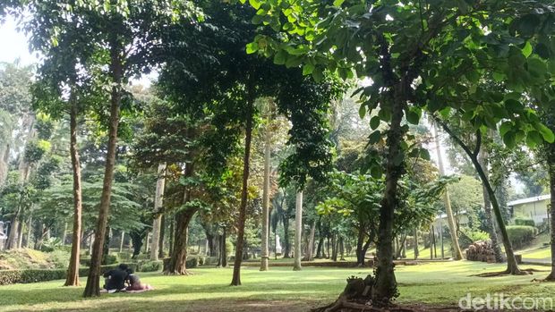 Taman Langsat