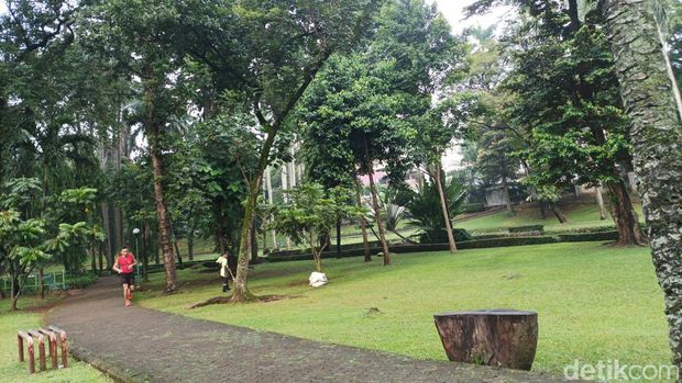 Taman Langsat