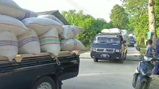 Viral seserahan sultan Tuban